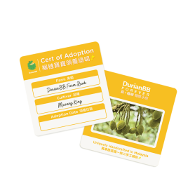 DurianBB Forever Frozen Cube DurianBB Forever Frozen Cube